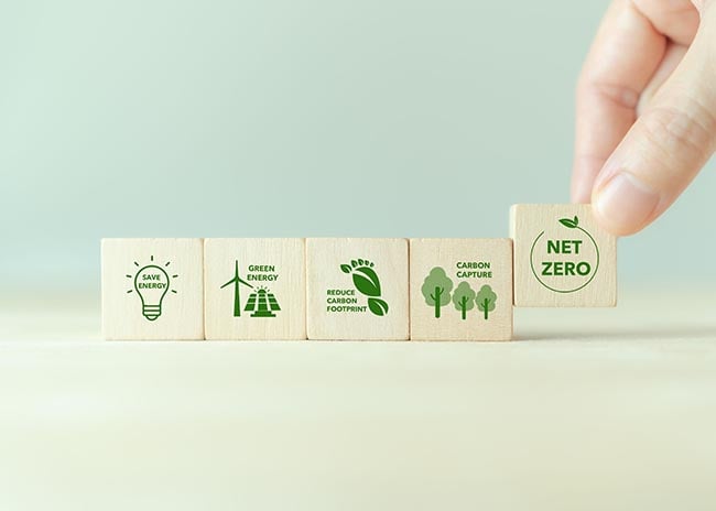 strategise_ourservices_NZroadmap